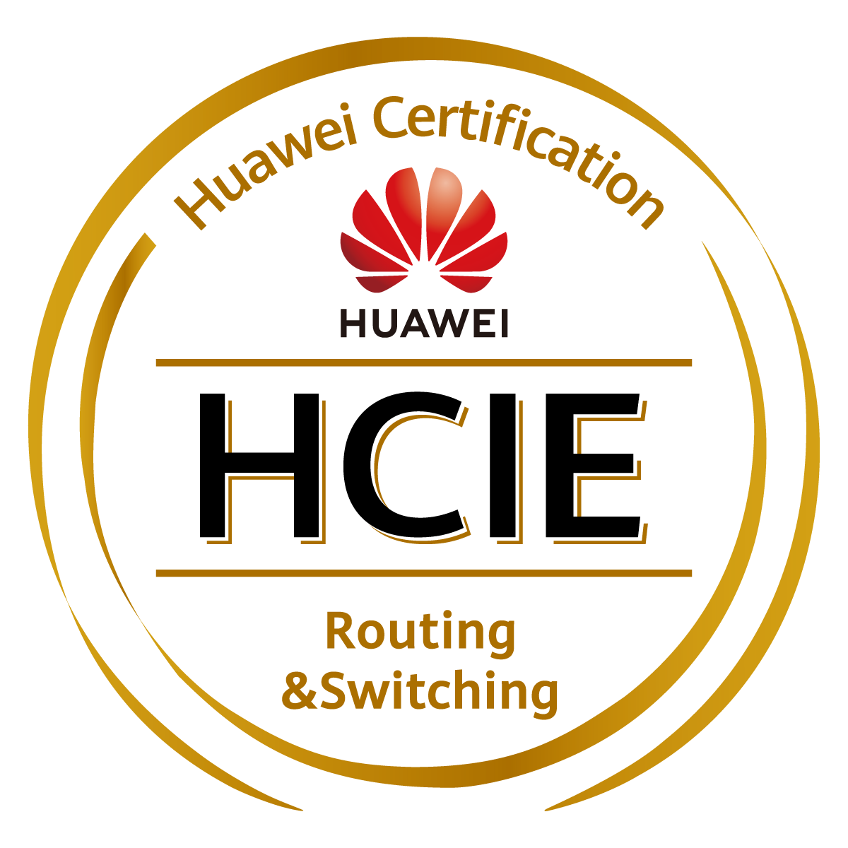 HCIE-Routing & Switchi